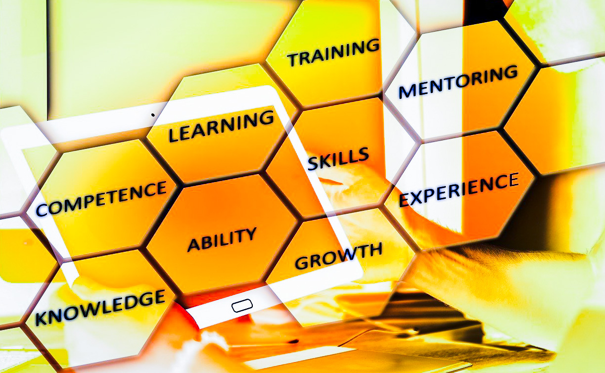 Graphic illustrating the words Learning, Mentoring, Training, Skills, Knowledge, Ability, Experience, & Growth